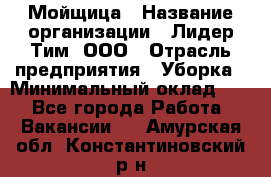 Мойщица › Название организации ­ Лидер Тим, ООО › Отрасль предприятия ­ Уборка › Минимальный оклад ­ 1 - Все города Работа » Вакансии   . Амурская обл.,Константиновский р-н